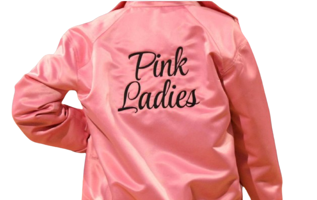 Pink Ladies Jacket - Classic Movie Costume for Girls and Women - Intelli Monde